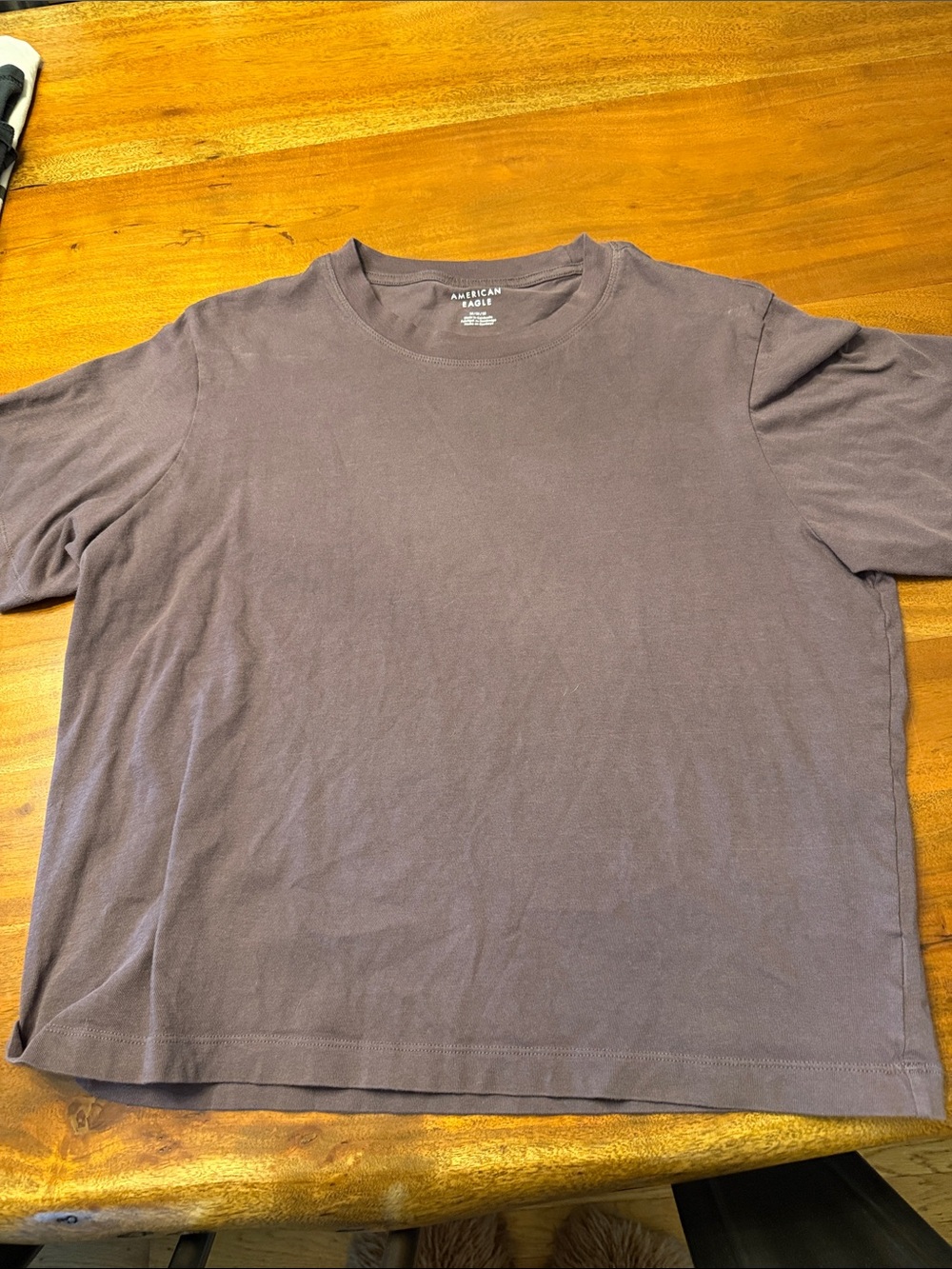 American Eagle Outfitters Men’s Crewneck T-Shirt — brown